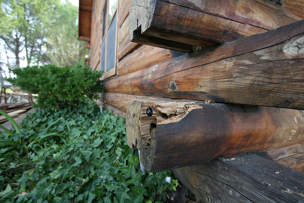 How to repair and maintain log ends