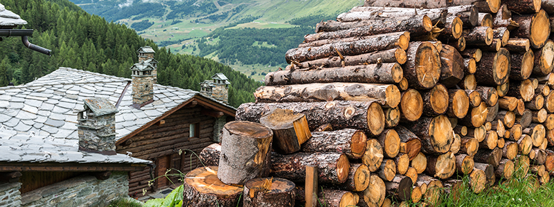 How to Prepare Your Log Home for El Nino