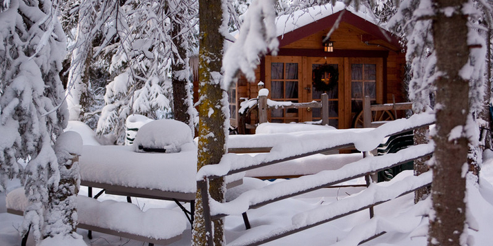 After the Storm: Caring for your Log Home after El Nino