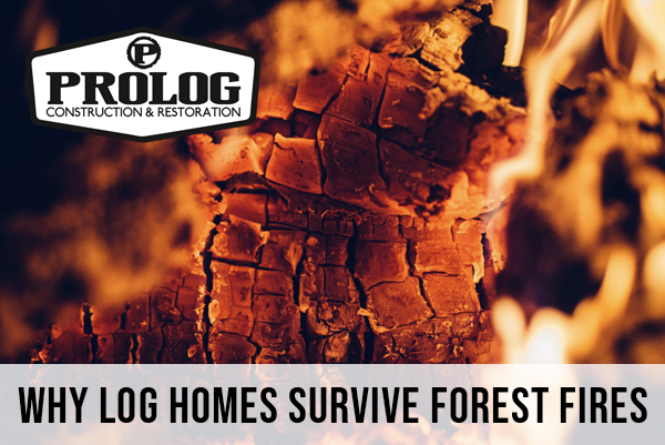 Why log homes survive forest fires